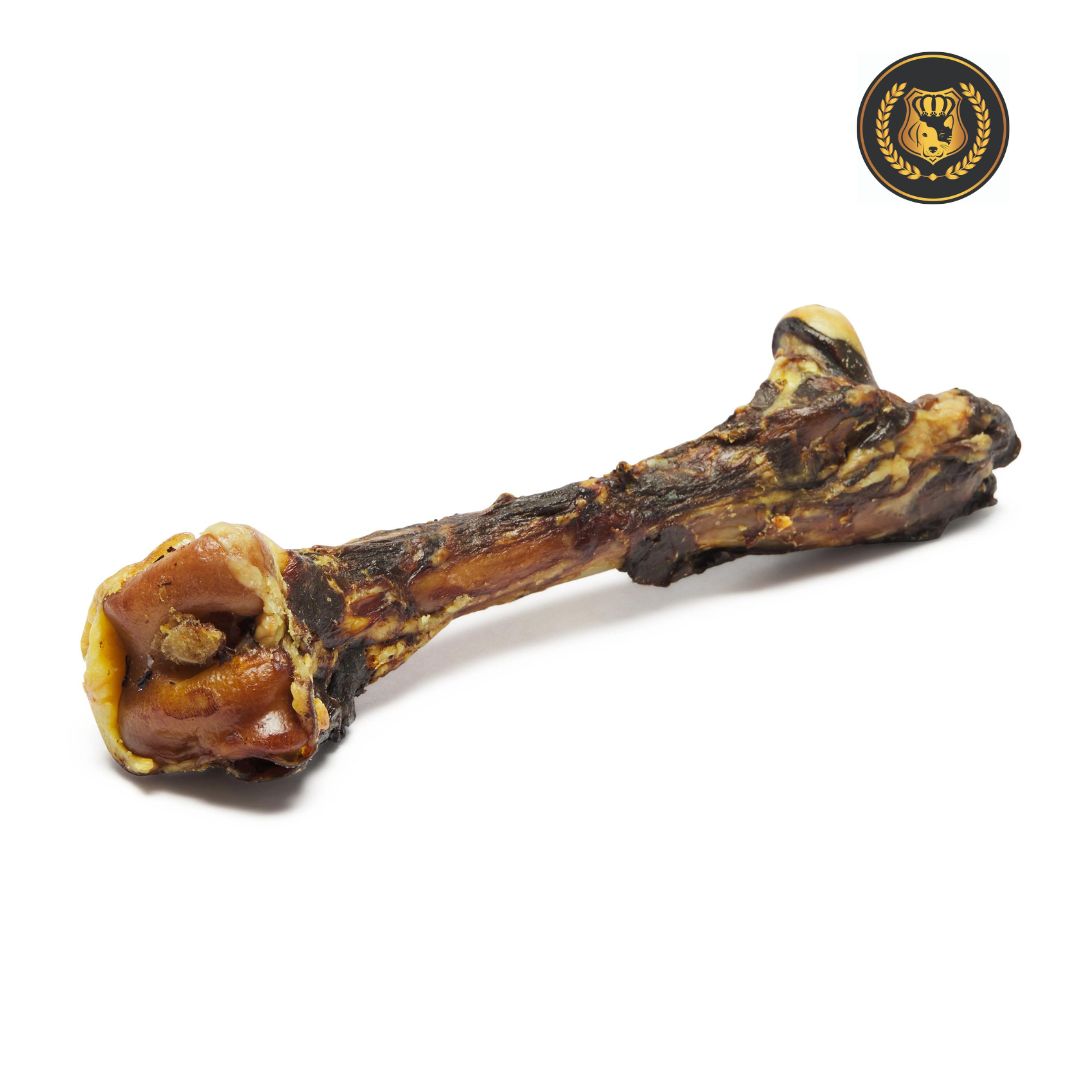 Kangaroo Femur Bone
