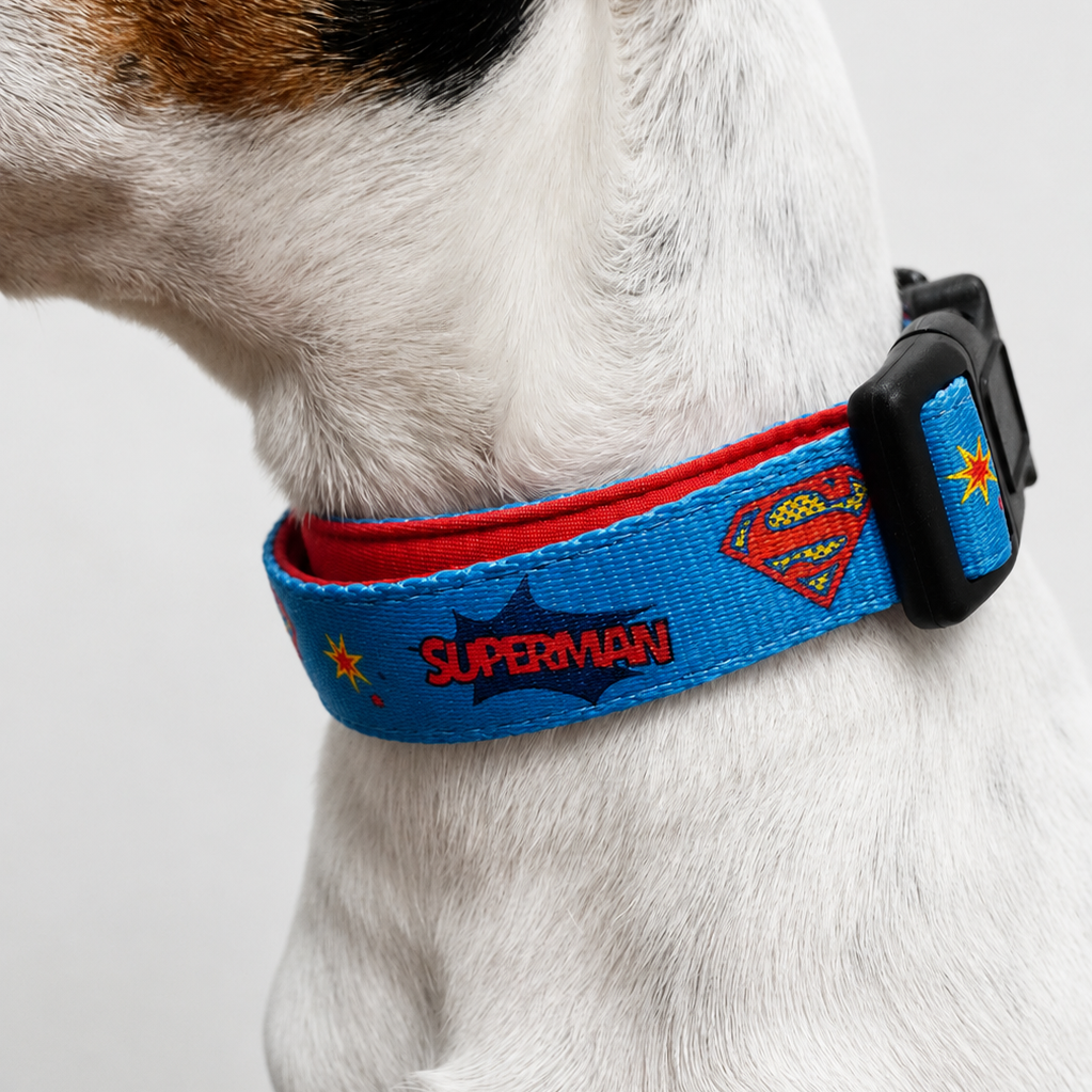 Superman Collar