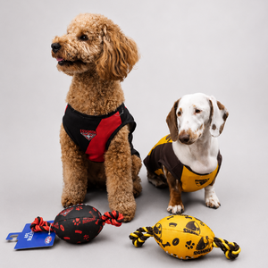 AFL Chew Toy