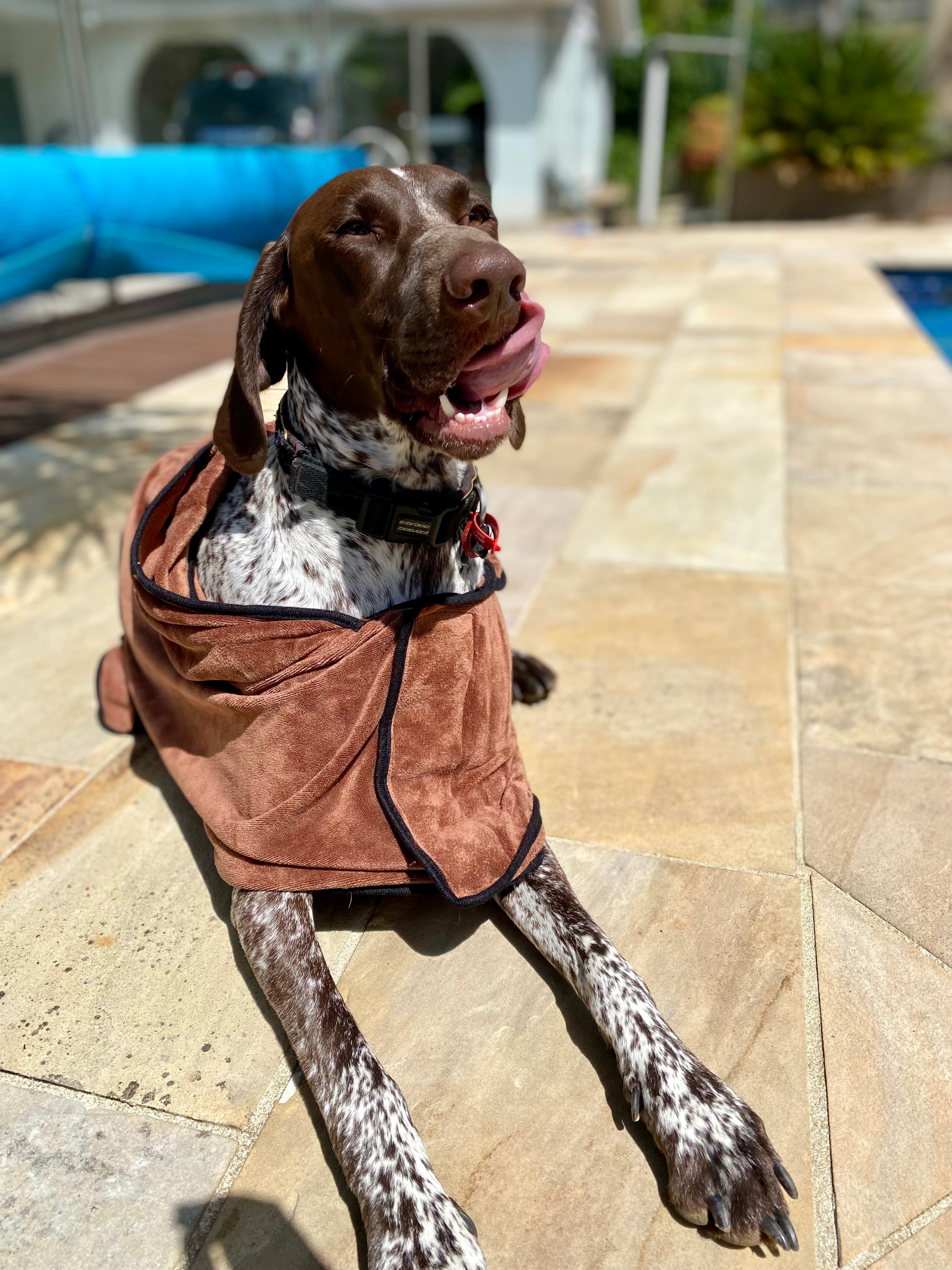 Paw Bathrobe