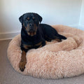 KOP Pet Calming Bed