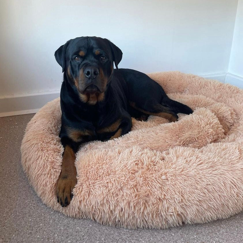 KOP Pet Calming Bed