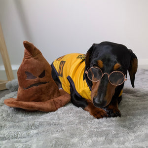 Harry Potter Hufflepuff Dog Jersey