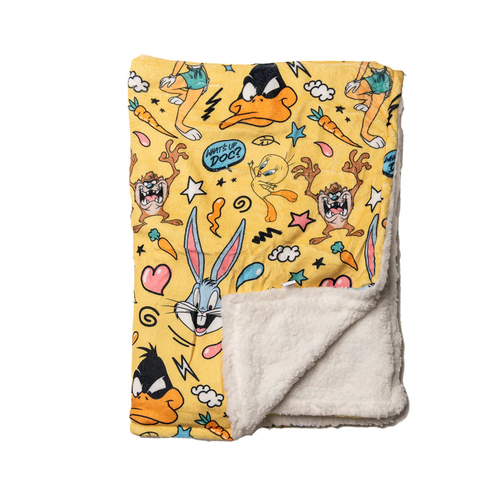 Looney Tunes Blanket