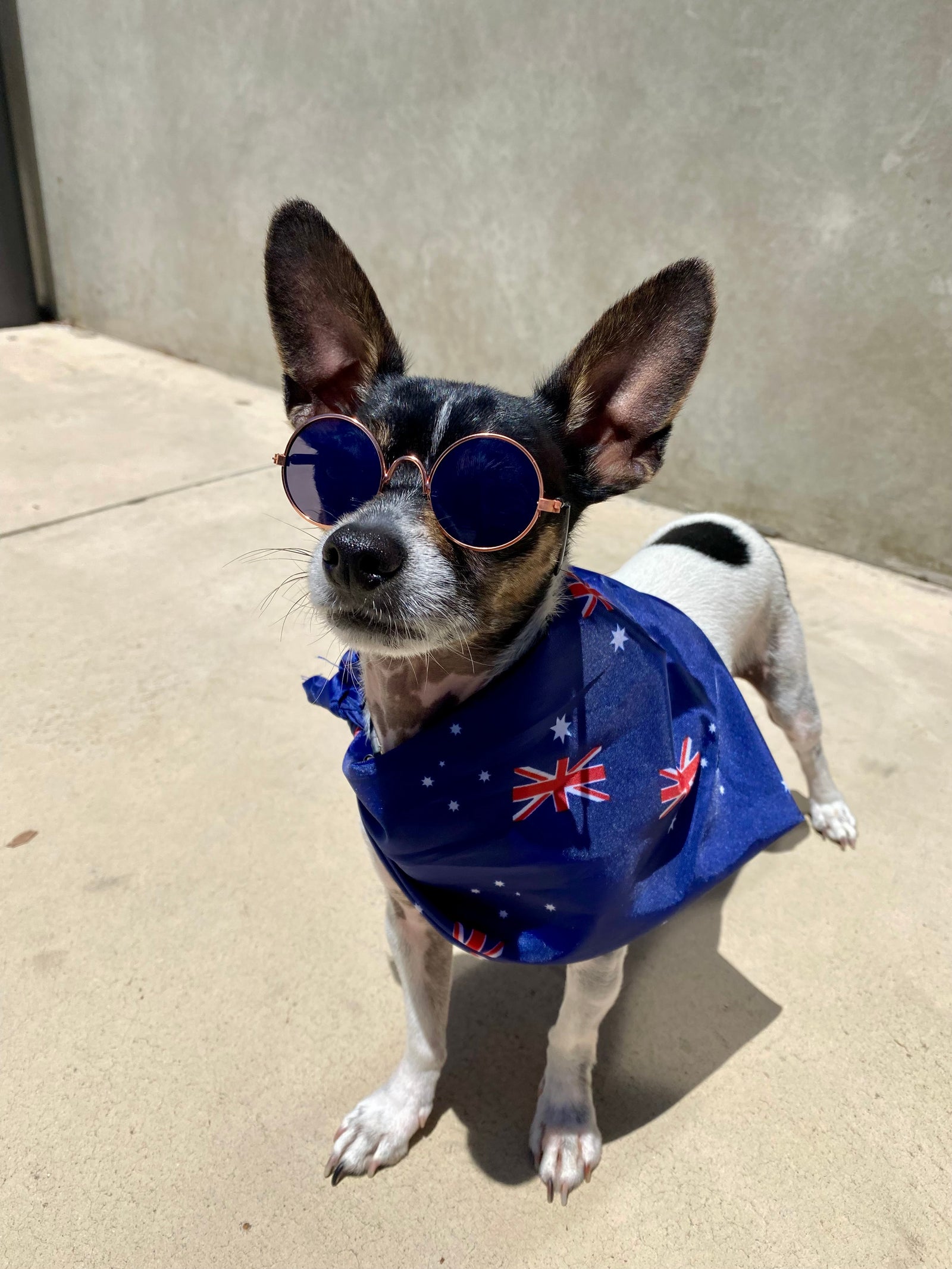Australia Flag Bandana