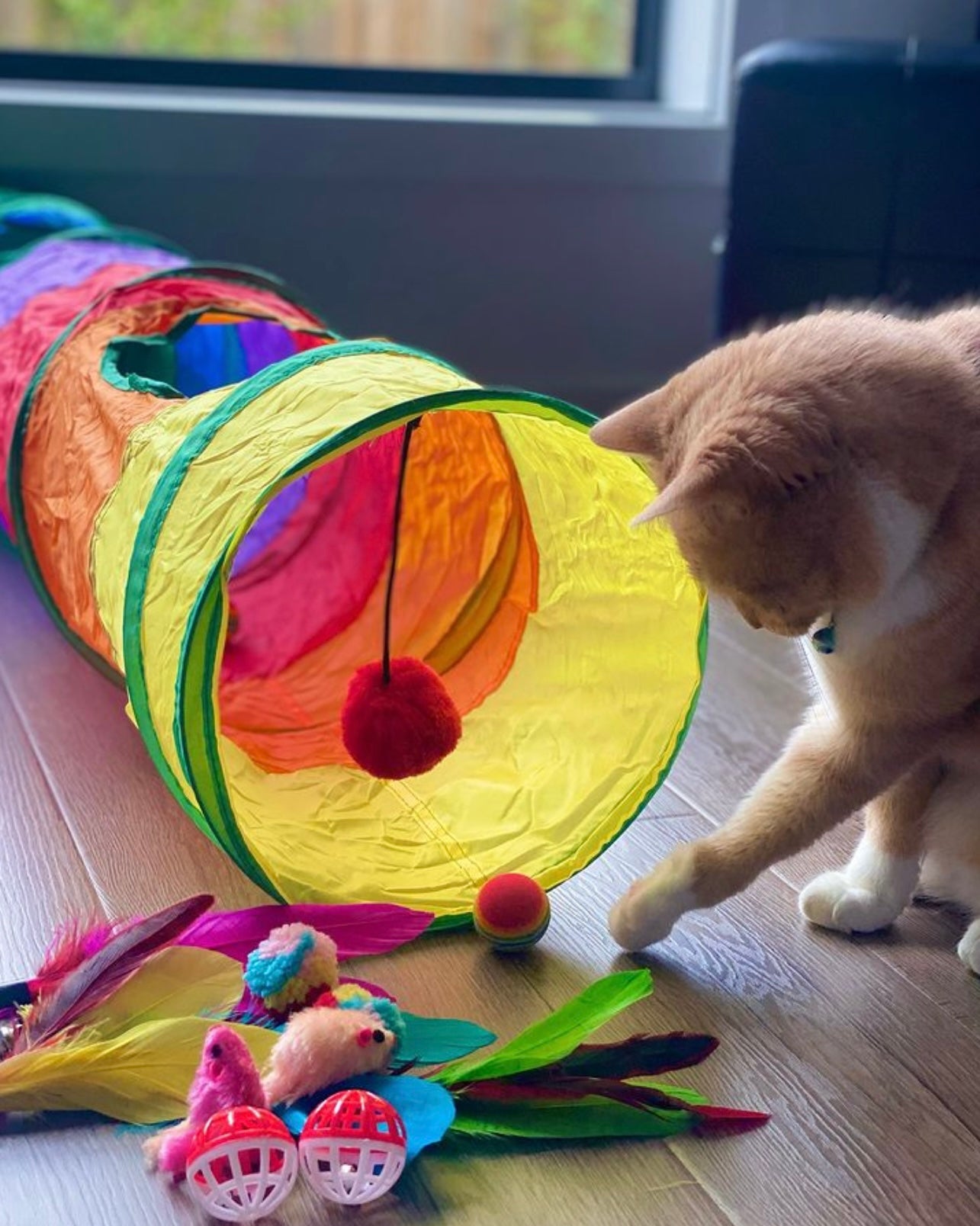 Kitty Play Set
