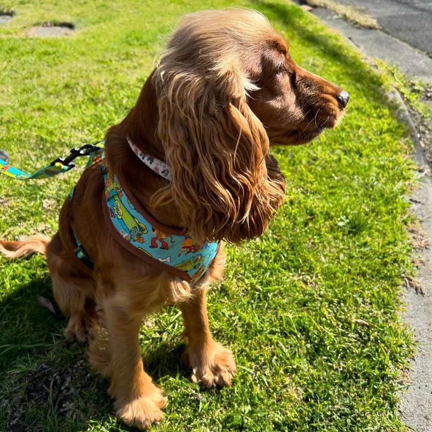 Scooby-Doo Harness