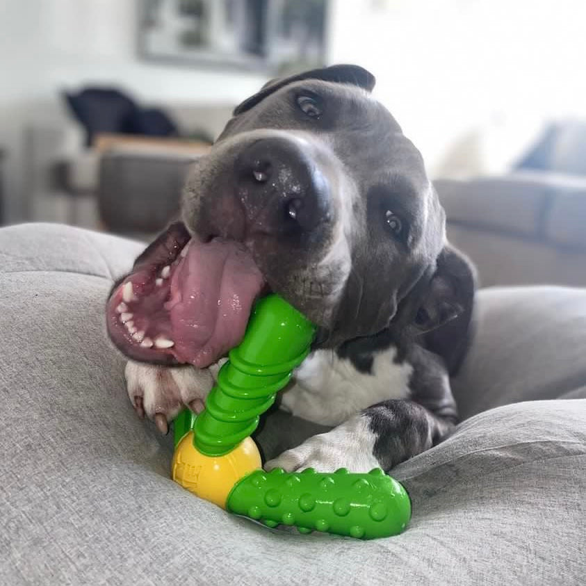 Tasty Bone Quattro LIMITED EDITION!