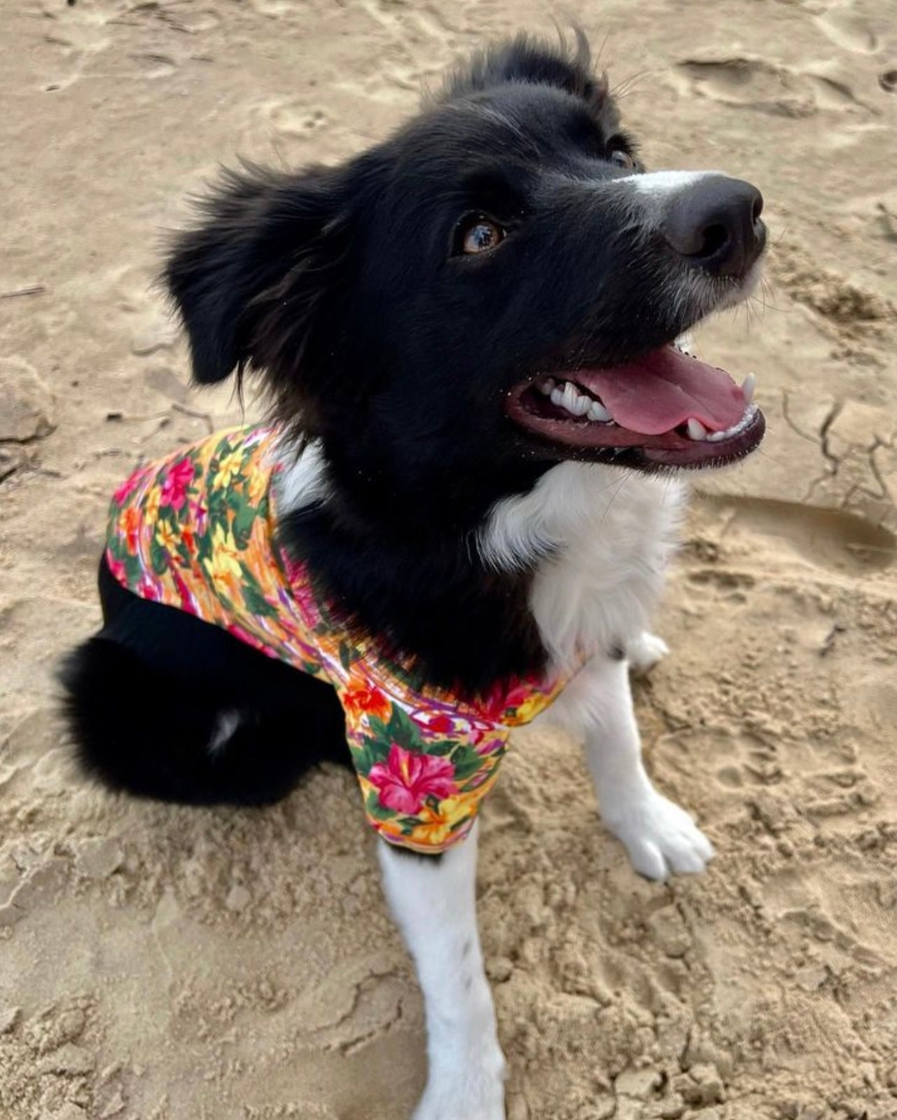 Hawaiian Sunset Shirt
