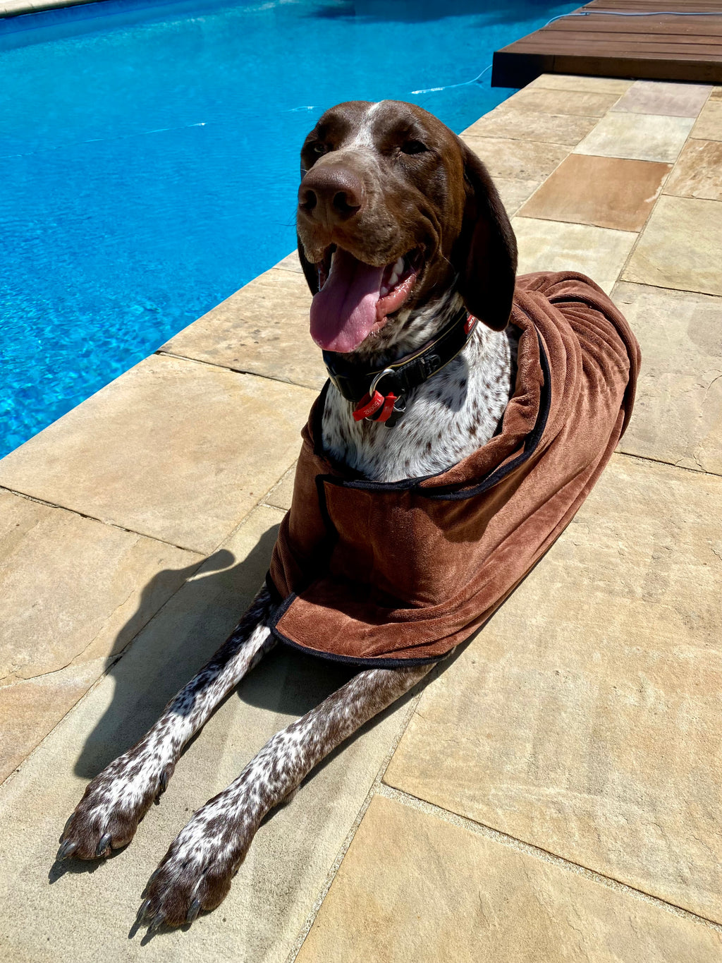 Paw Bathrobe