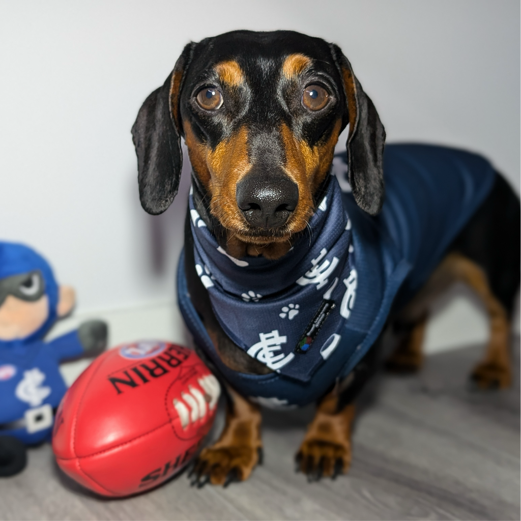 AFL Bandanas