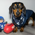 AFL Bandanas