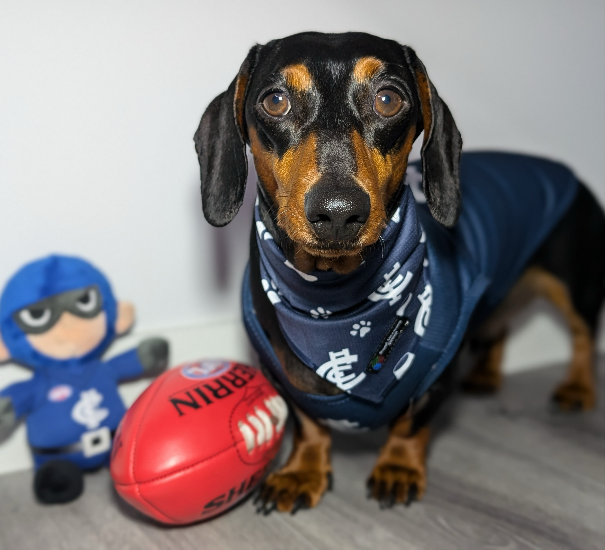 AFL Bandanas