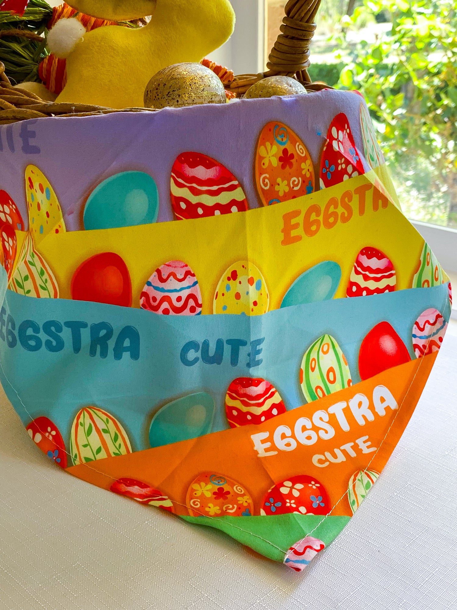 Eaggstra Cute Rainbow Bandana