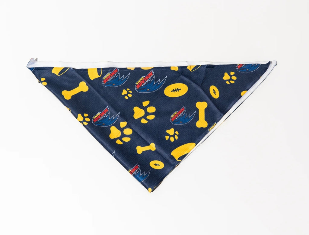 AFL Bandanas