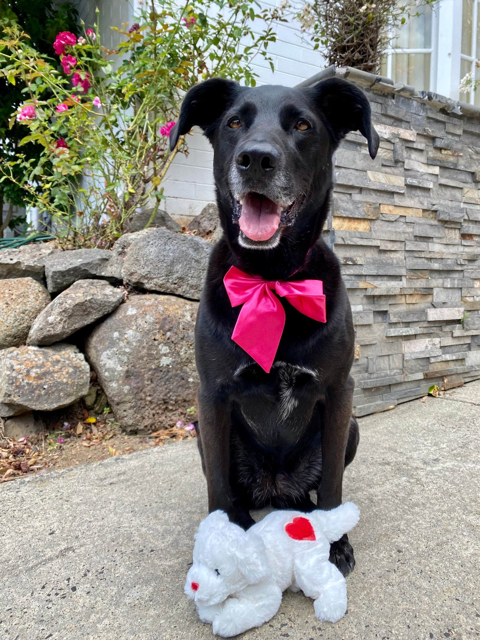 Stuffed with Love Plush Toy