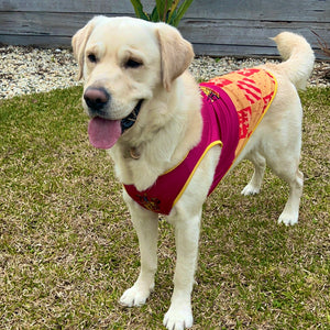 Harry Potter Gryffindor Dog Jersey