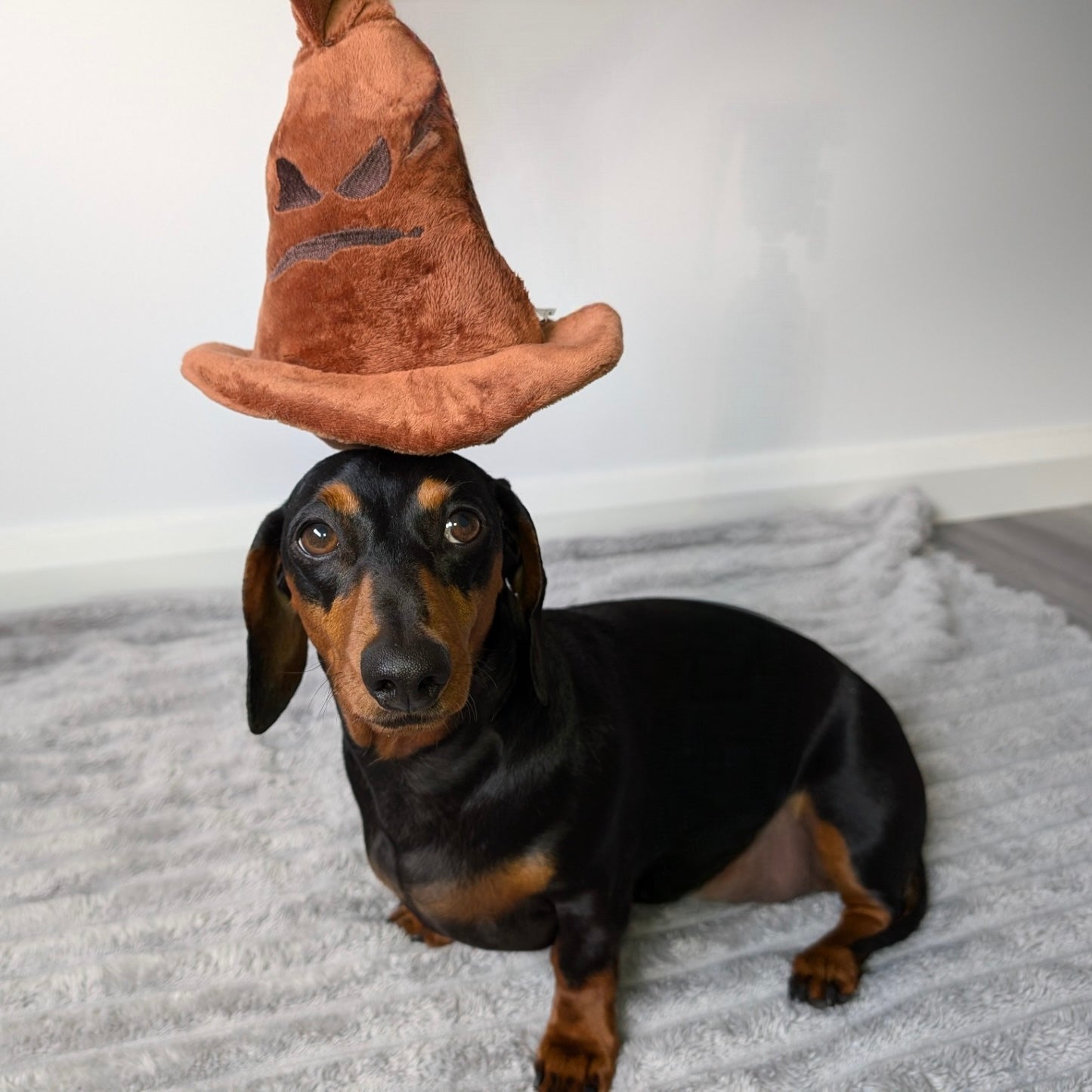 Harry Potter Plush Toys