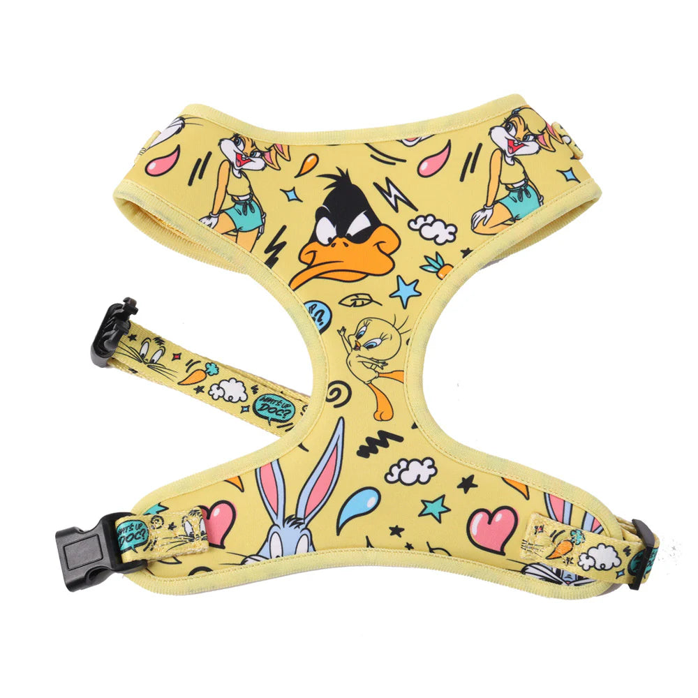 Looney Tunes Harness