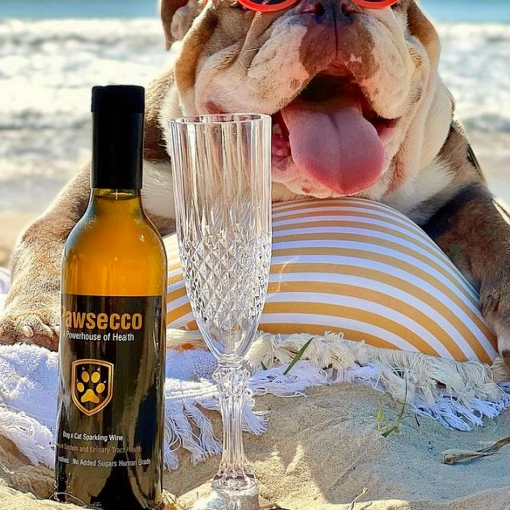 Pawsecco
