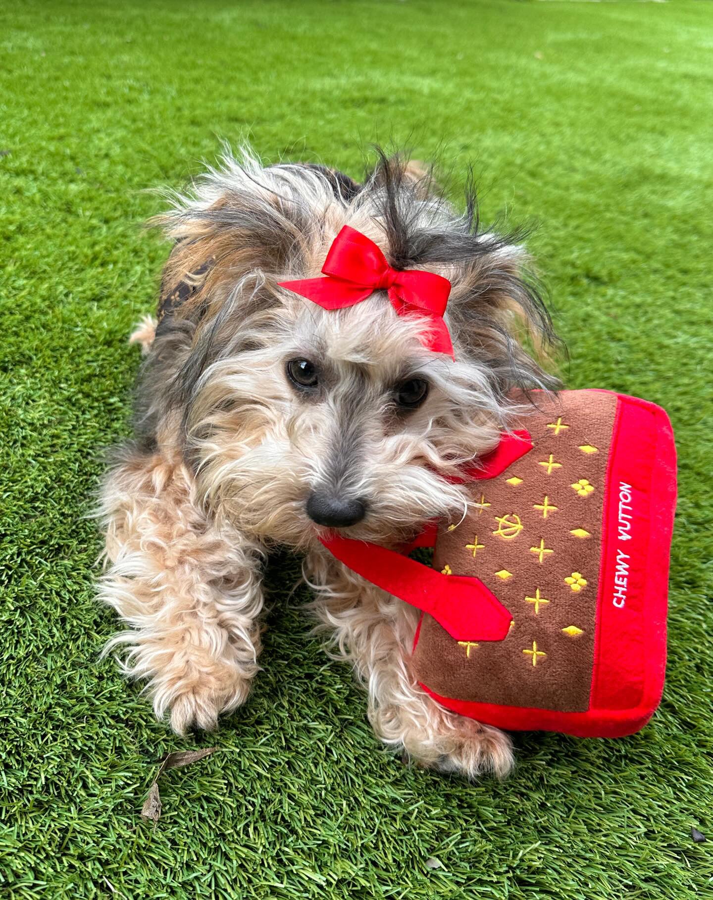 Chewy Vuiton Red Purse Toy