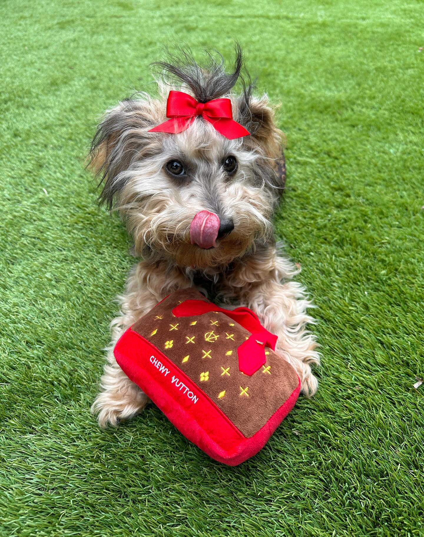 Chewy Vuiton Red Purse Toy