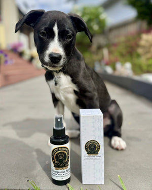 Pet Tranquility Spray