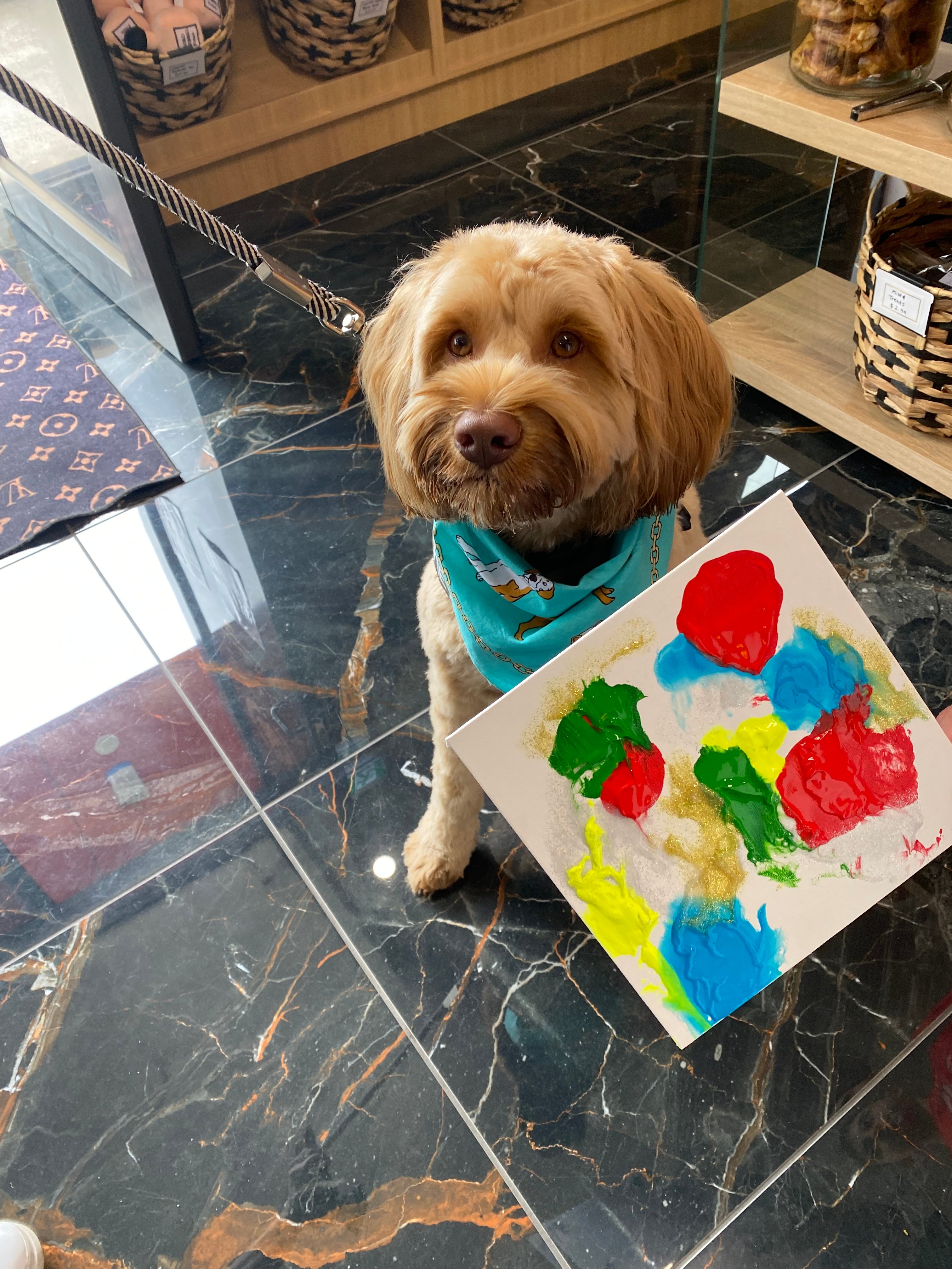 Pet Painting Kit