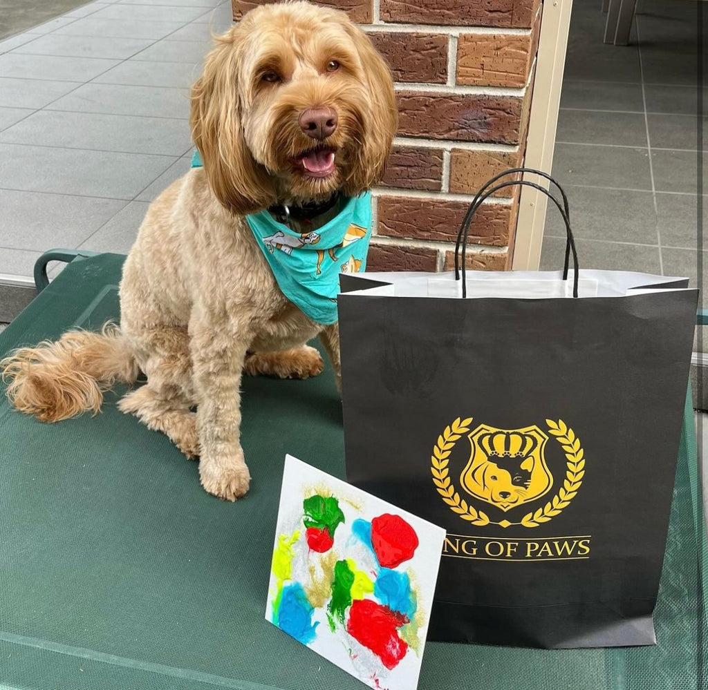 Pet Painting Kit