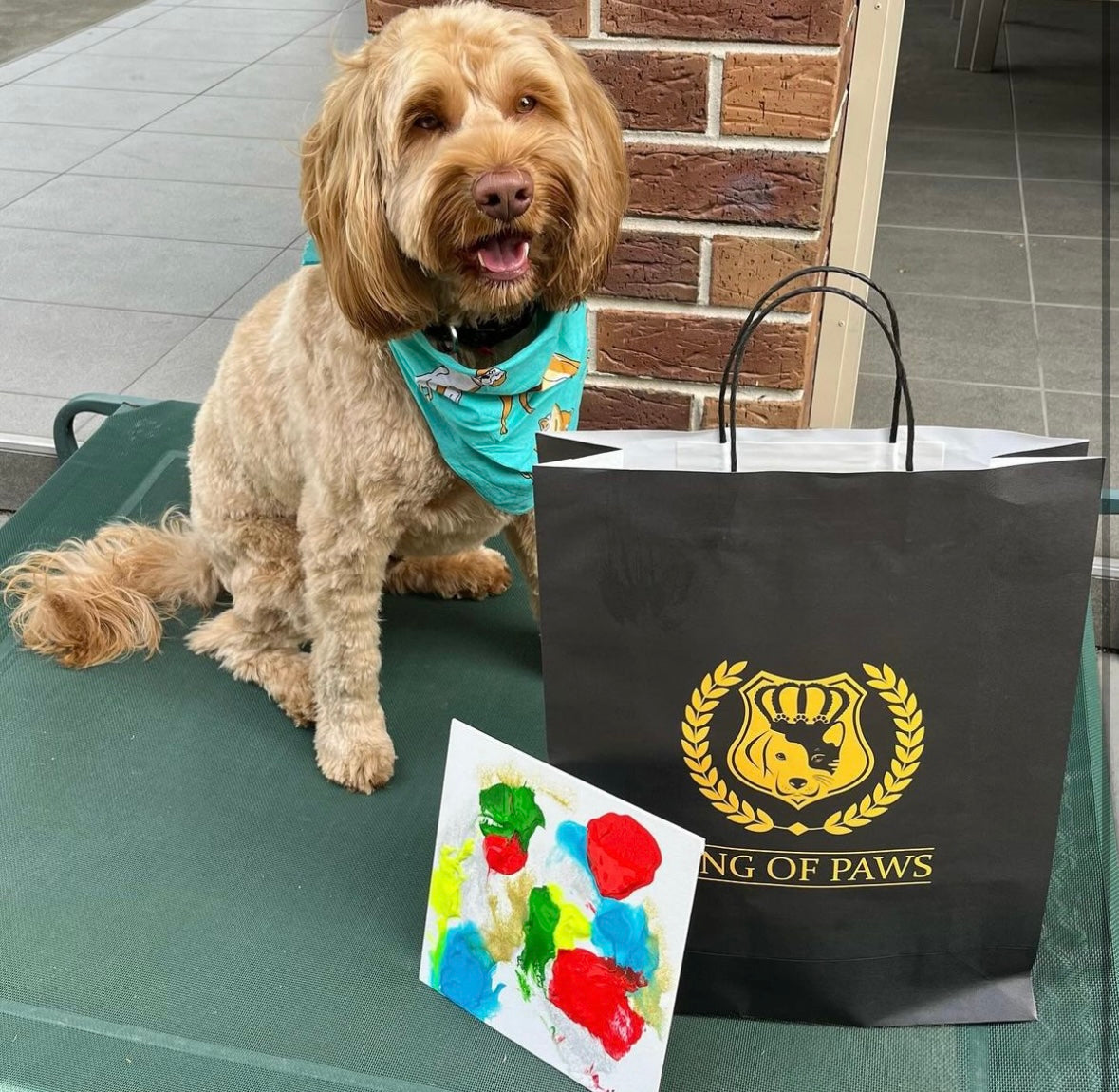 Pet Painting Kit