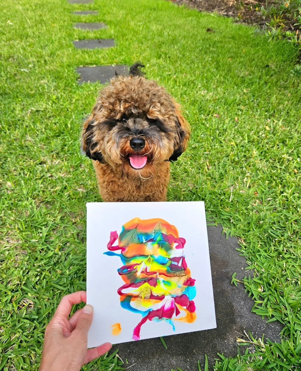 Pet Painting Kit