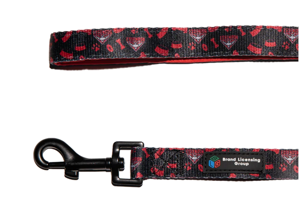 AFL Pet Lead