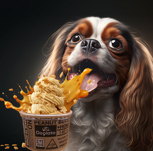 Doglato Ice Cream Gelato Cups