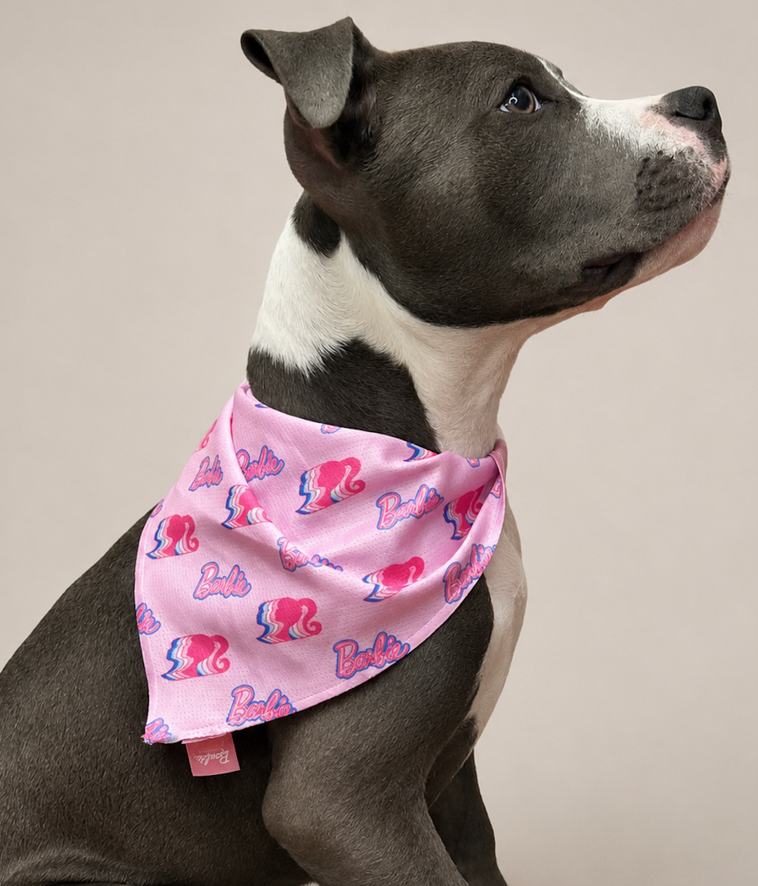 Barbie Pet Bandana