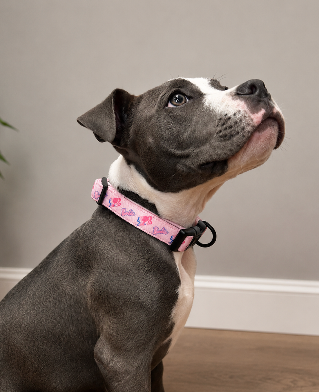 Barbie Pet Collar