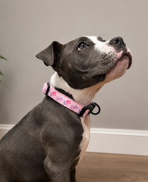 Barbie Pet Collar