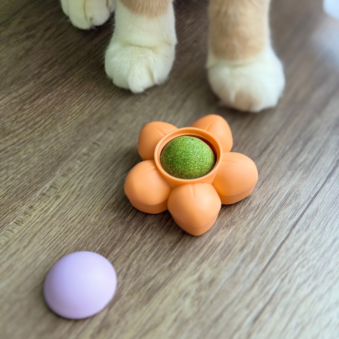 Cat Ball Catnip Licker