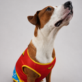 Wonder Woman Jersey