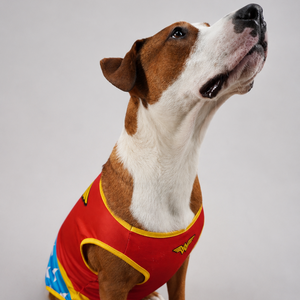 Wonder Woman Jersey