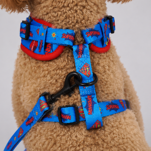 Superman Harness