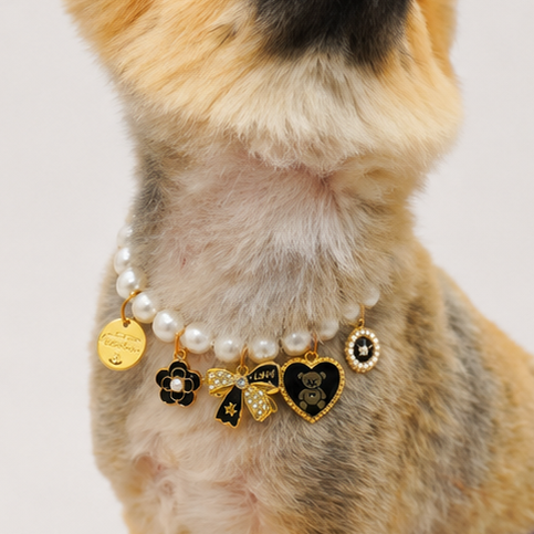 Charming Noir Necklace