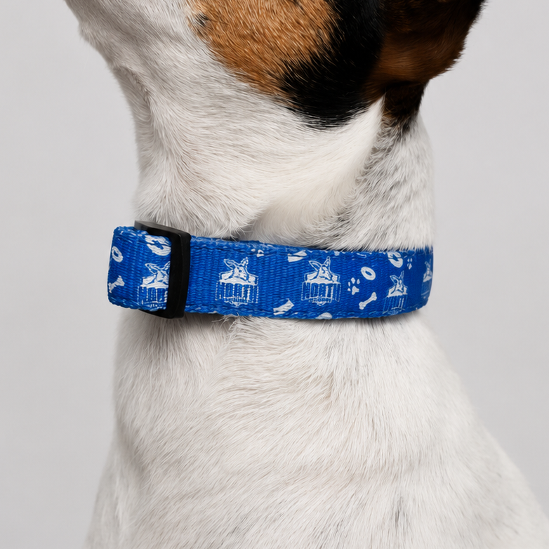 AFL Dog Collar