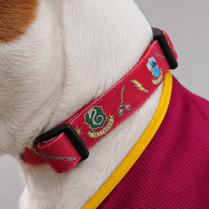 Harry Potter Collar
