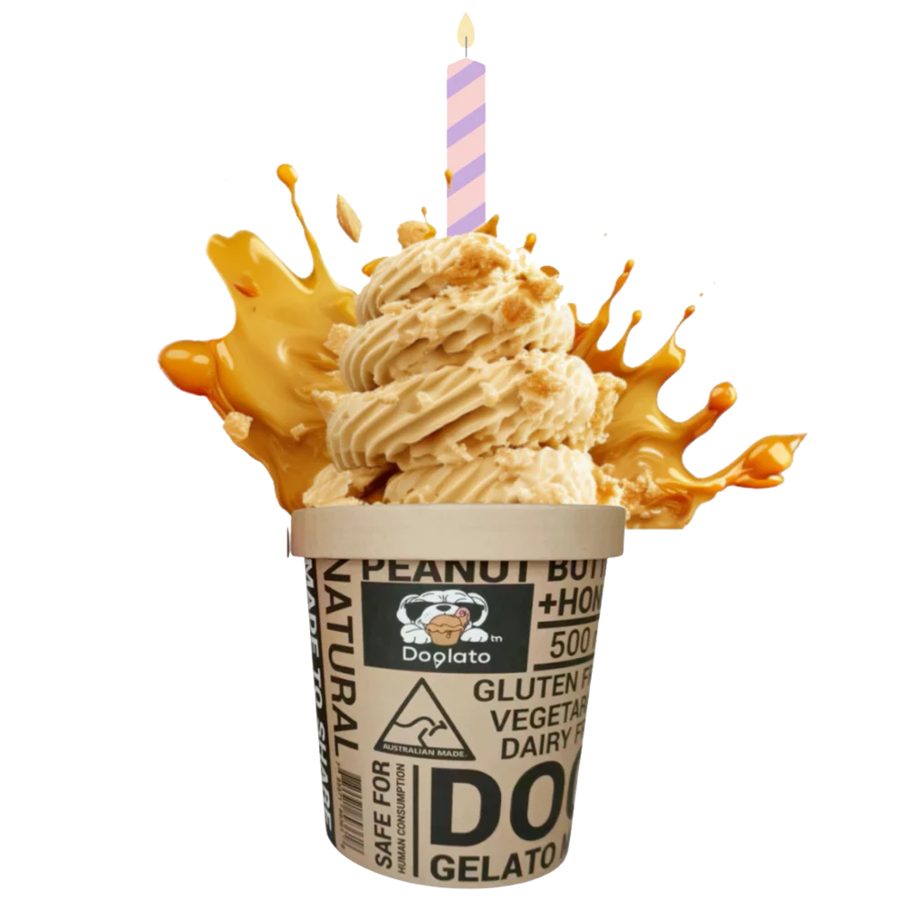 Doglato Gelato Birthday Cake Tub