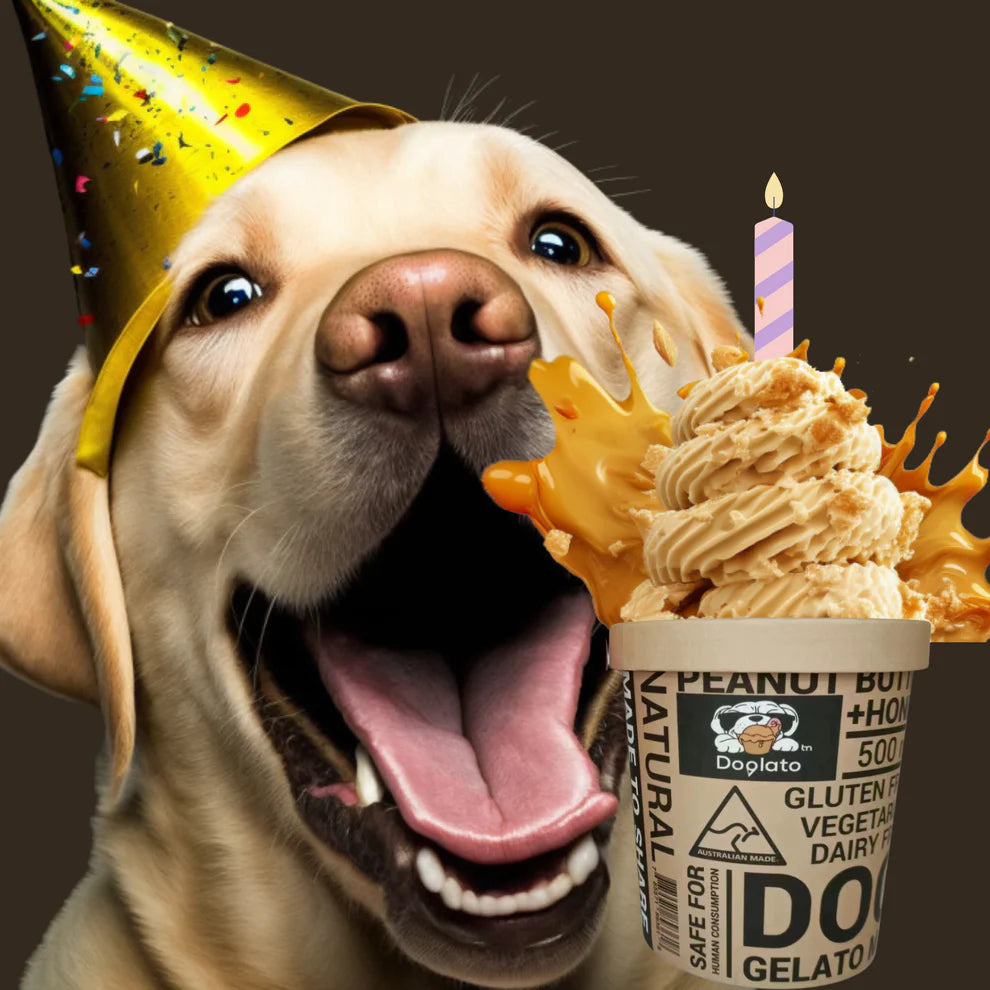 Doglato Gelato Birthday Cake Tub