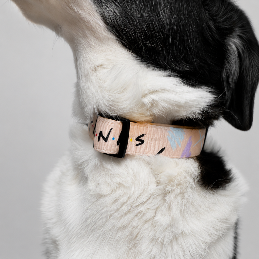 Friends Collar