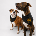 King of Paws Bandana