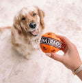 Hairmes Toy Ball