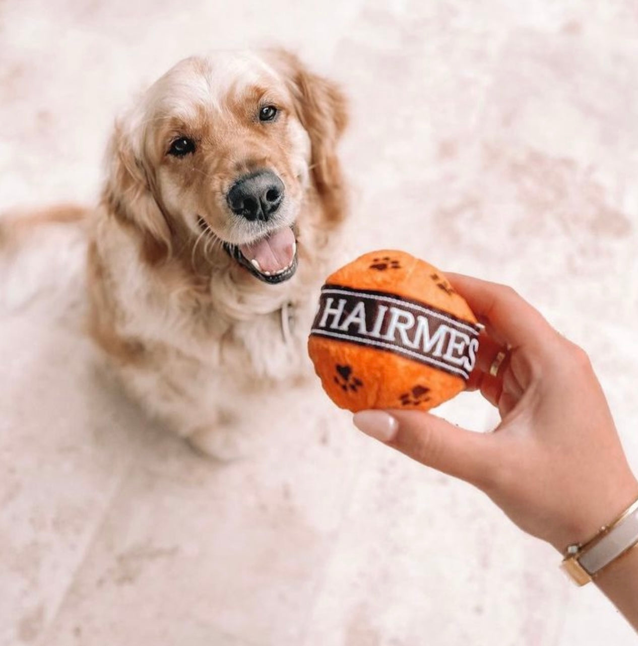 Hairmes Toy Ball