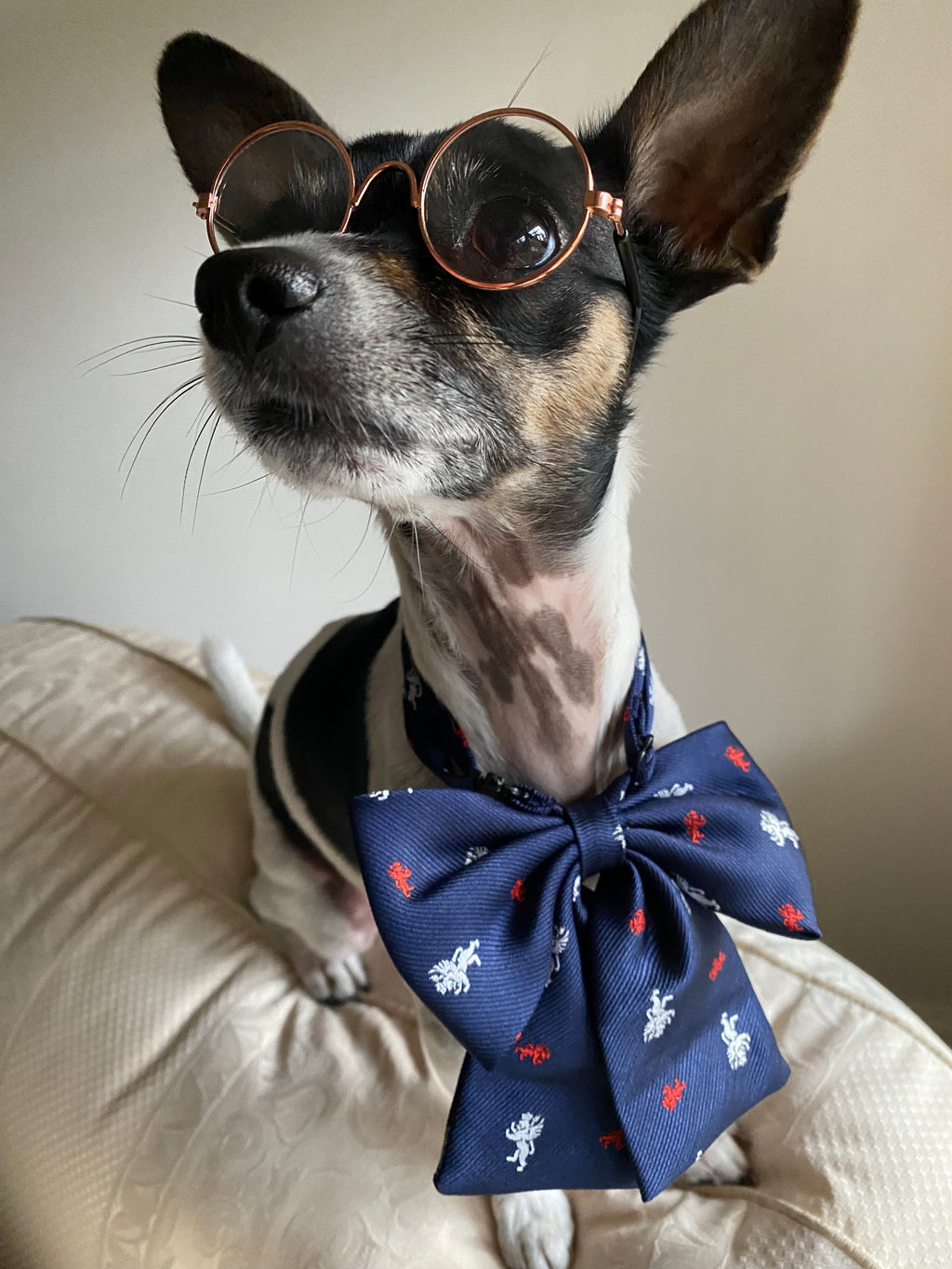 Dogwarts Bow Ties